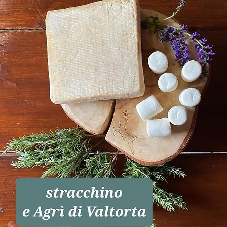 Apartman La Boheme, 2 Min Da Qc Terme, Free Parking San Pellegrino Terme